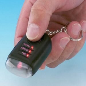 Gaydar Keyring