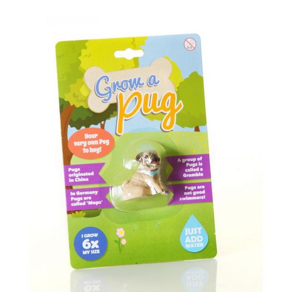 grow_a_pug_dog