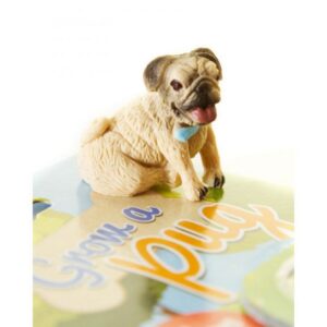 Grow Your Own Pug Dog - Image 4