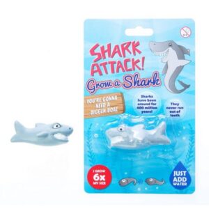 Grow Your Own Shark - Image 3