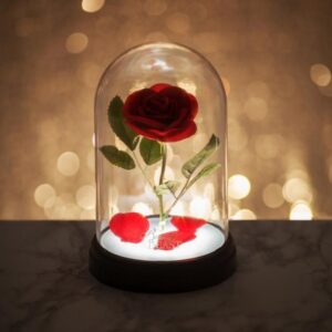 Enchanted Rose Light