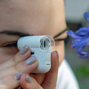 World's Smallest Microscope - Image 3
