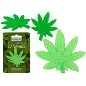 Grow Your Own Weed