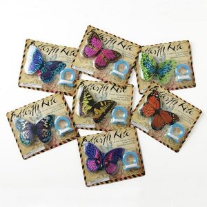 Kids Mini Butterfly Kite