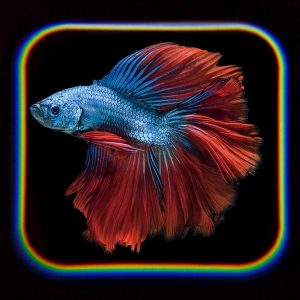 Ocean Projector Torch - Image 6
